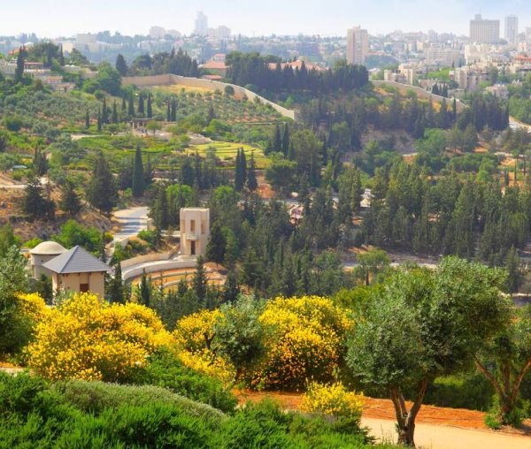 Елеонская гора в Иерусалиме