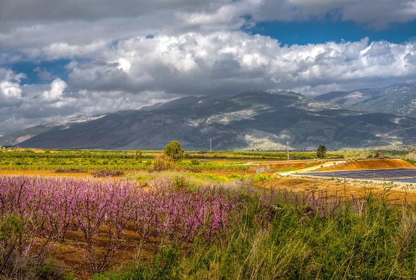 Весна в Израиле