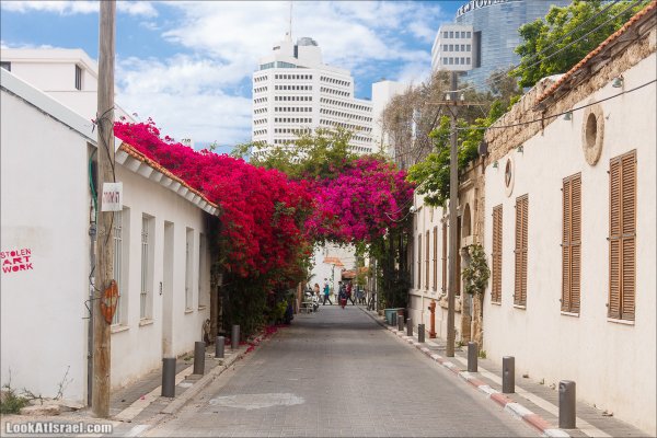 Святая гора Иерусалим Елеонская