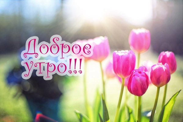 Пожелания доброго весеннего утра