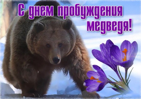 Медведь после зимней спячки