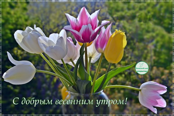 Хорошие пожелания с добрым утром с природой