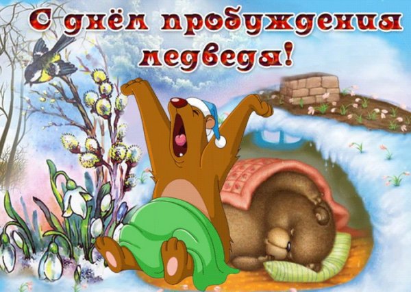 Медведь весной