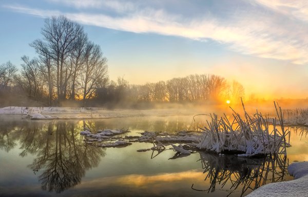 Ранняя Весна солнце