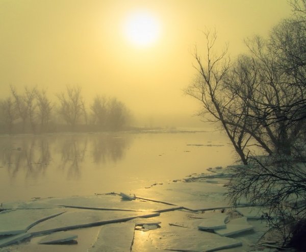 Апрельское солнце