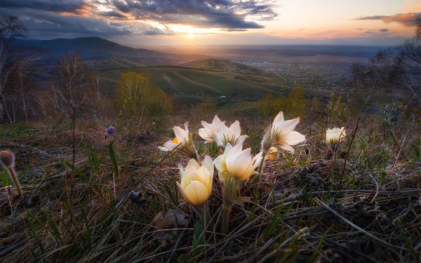 Рассвет в горах весной