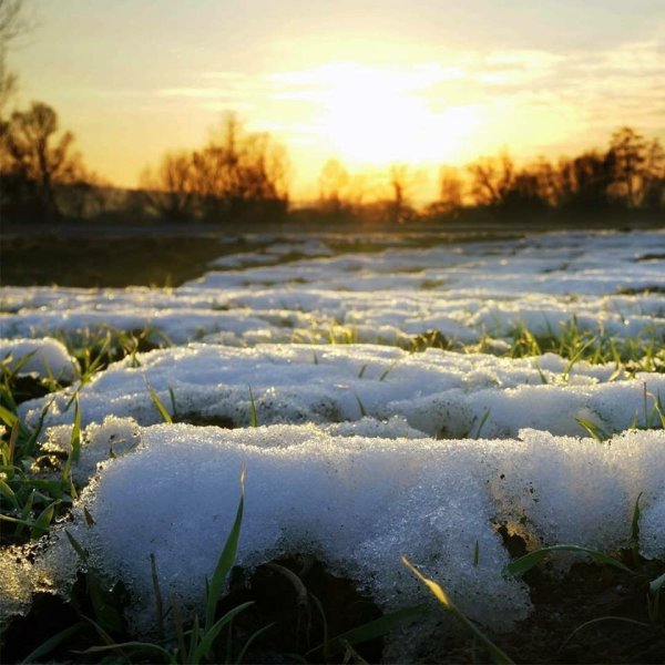 Ранняя Весна