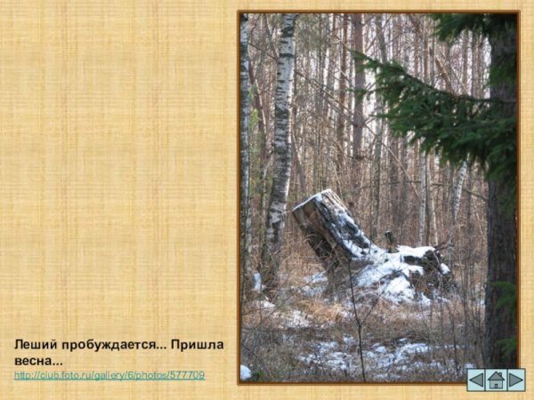 Домовёнок Кузя Леший Весна пришла