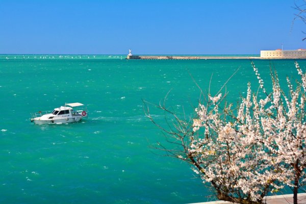 Черное море Севастополь