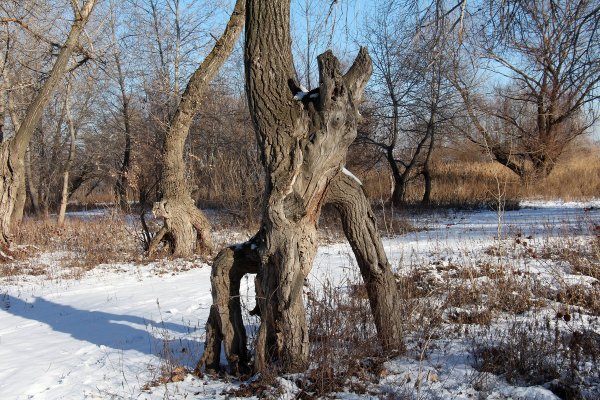 Открытки Веселые и добрые