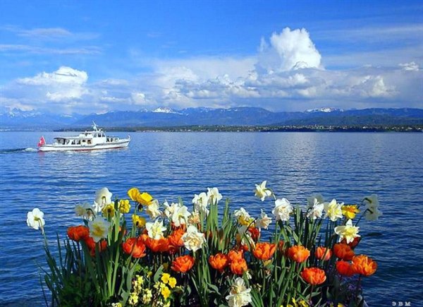 Весна цветы море