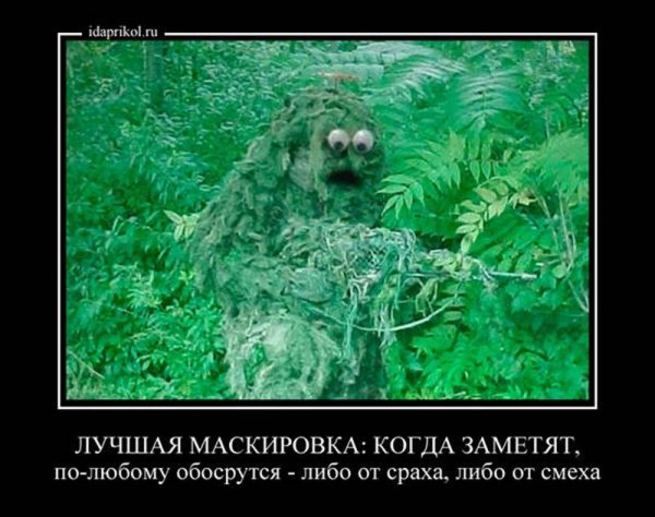 Кикимора Болотная ведьма