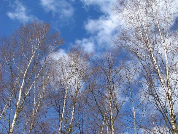 Ранняя Весна на Кубани