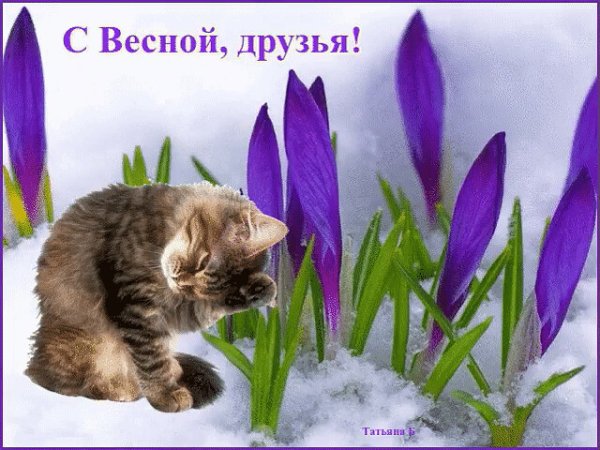 Открытки с весной прикольные