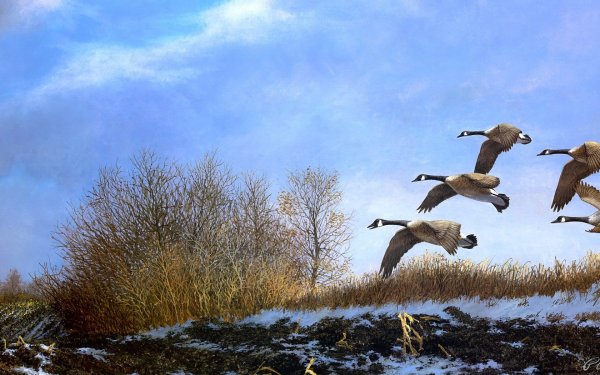 Стая птиц картина