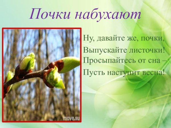 Презентация на тему Весна пришла