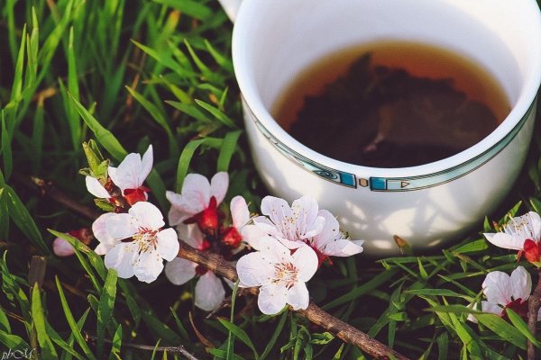 Чашка чая с цветами