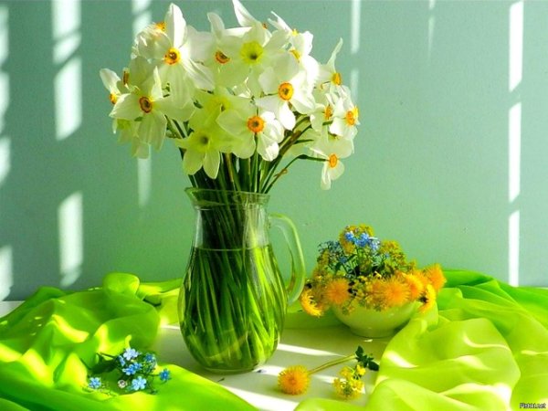 Букет черемухи