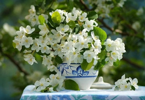 Весенние цветы коллаж