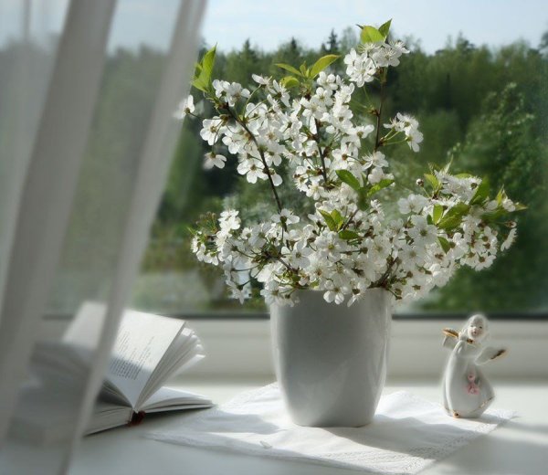 Солнечный цветок