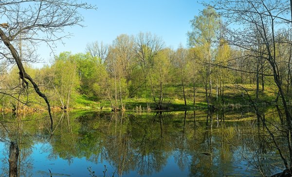 Природа поздней весной