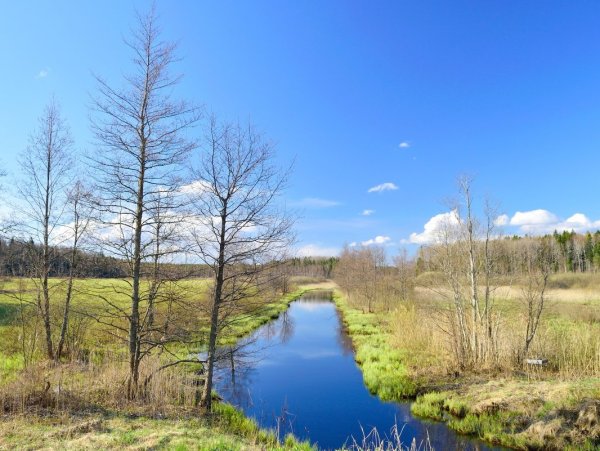 Поздняя Весна природа