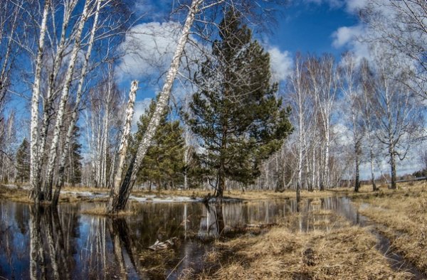Ранняя Весна какая