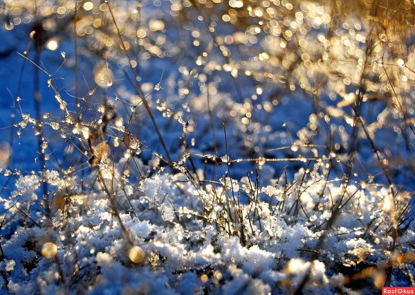 Снег весной