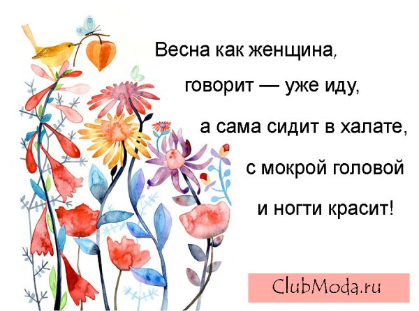 Поговорка про весну смешные