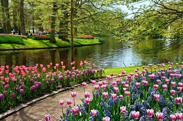 Весенние цветники