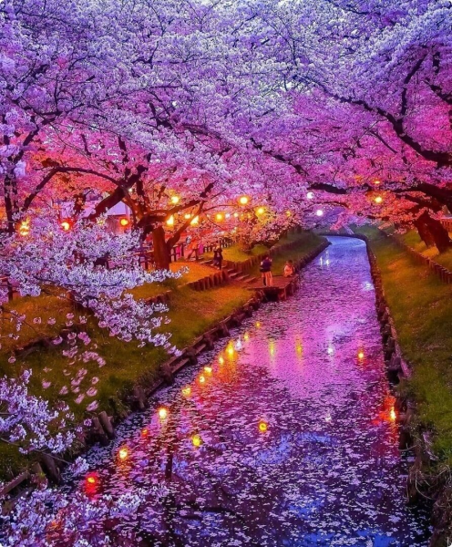 Весенние цветы