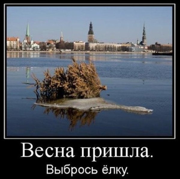 Bird born Весна