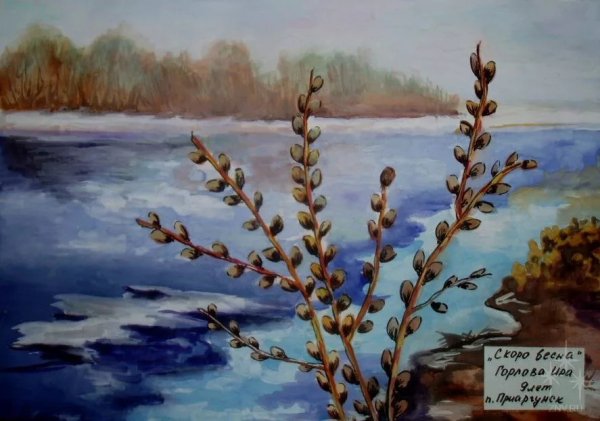 Ивовые котики