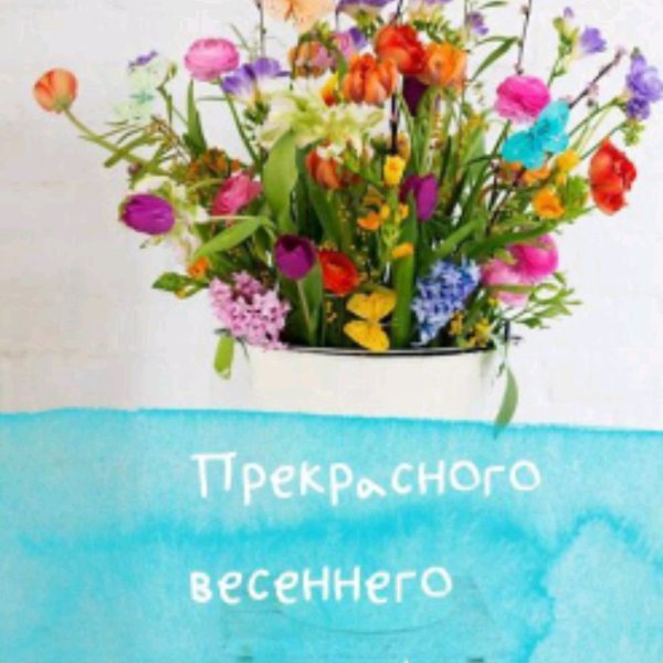 Полевые цветы с пожеланиями