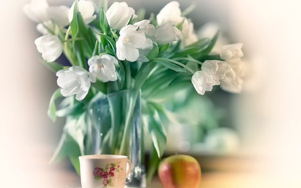 Доброго мартовского утра и прекрасного дня