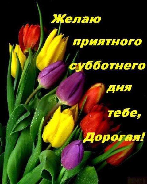 Доброе субботнее утро