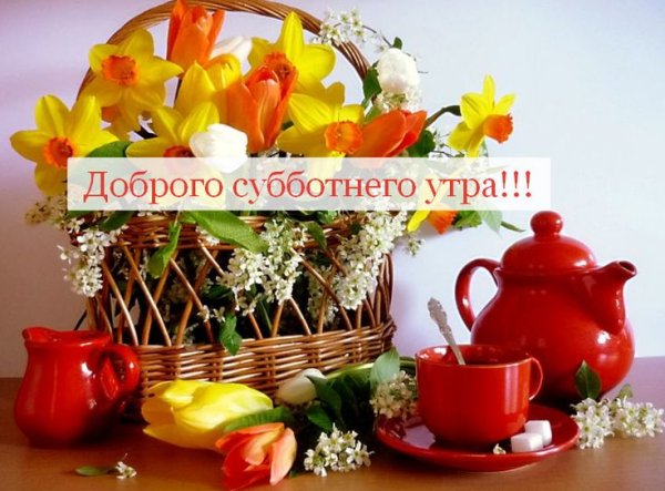 Солнечных выходных и отличного настроения