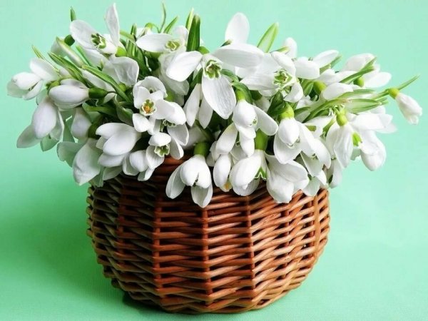 Поздравление с субботой