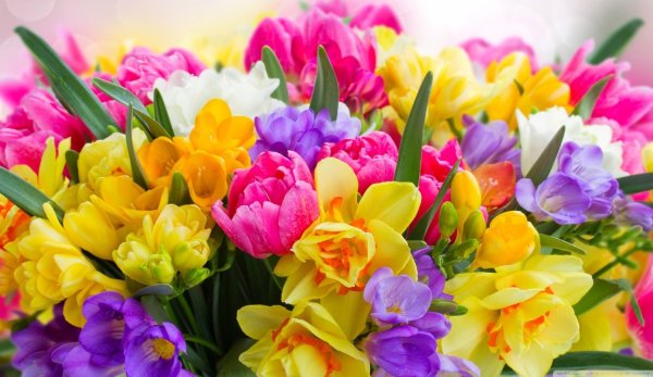 Весенний букет