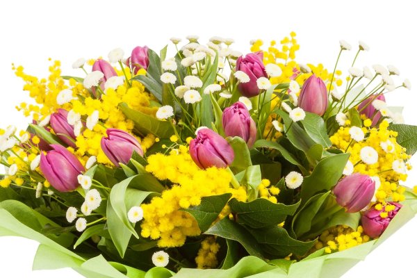 Весенние цветы тюльпаны