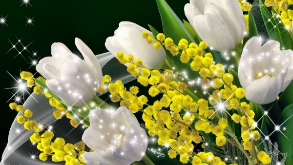 С 8 марта девочки