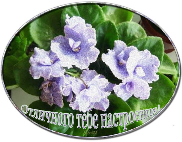 Доброго весеннего вторника