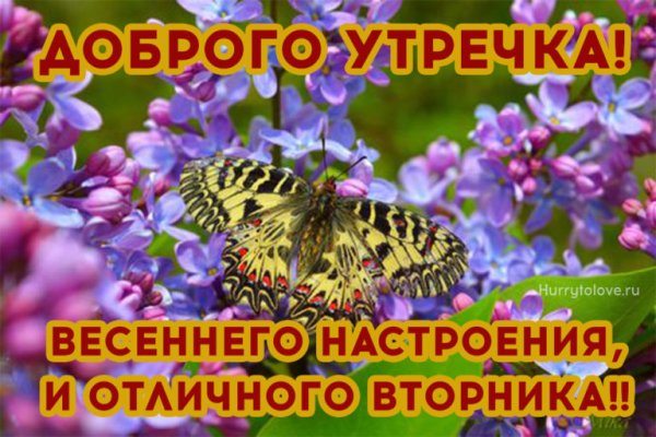 Доброе утро вторника Весна