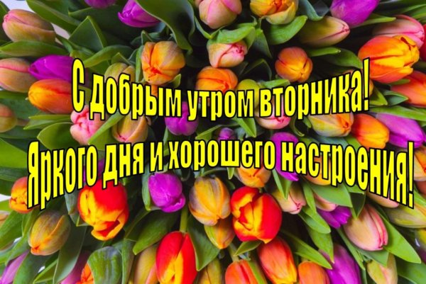 Доброго весеннего вторника