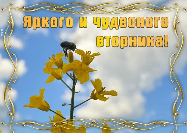 Открытки со вторником