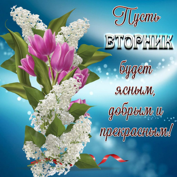 Пожелания на вторник
