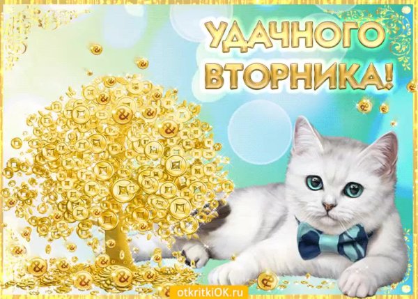 Доброго вторника