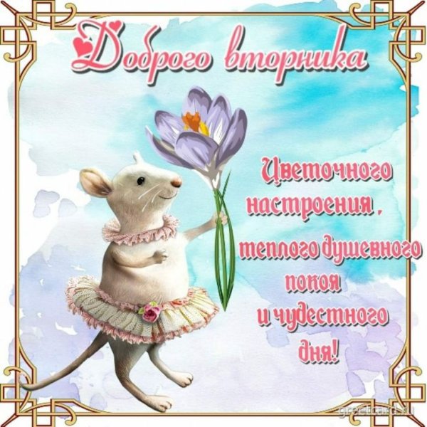 С добрым утром вторника