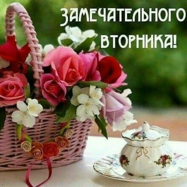 Пожелание доброго летнего утра вторника