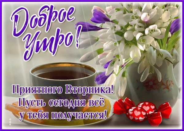 Картинки со вторником с пожеланиями